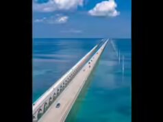 Il turista indiano Abhinav Lamba muore nella barriera corallina delle Florida Keys durante un’immersione subacquea, è stato trovato in pericolo