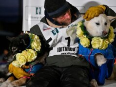L’ex star dei actuality Jessie Holmes vince di nuovo la corsa dei cani da slitta di Iditarod