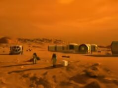 Ci sono insetti e rettili su Marte? Cosa cube effettivamente la ricerca