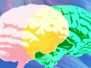 Nella “revisione degli esperti” di Grammarly mancano solo i veri esperti