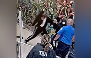 Uomo accusato di aver aggredito gli agenti della TSA, ferendo gravemente un poliziotto di Dallas all’aeroporto