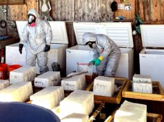 Cinque cittadini messicani incriminati dopo che una massiccia retata in un laboratorio di metanfetamine ha scoperto enormi quantità di droga