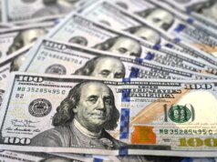 Il gruppo progressista sembra sostenere che gli immigrati clandestini possano beneficiare di programmi di reddito garantito