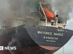 Cosa hanno detto gli alleati degli Stati Uniti e la Cina riguardo all’invio di navi nello Stretto di Hormuz?