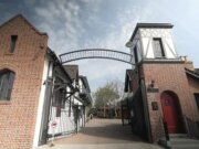 Questa settimana in poi "Domenica mattina" (15 marzo)