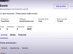 Mastodon sta rendendo il suo social community decentralizzato più facile da usare con il suo ultimo rinnovamento
