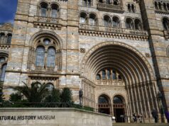 Il Museo di Storia Naturale diventa la principale attrazione visitabile del Regno Unito