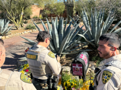 Aggiornamento di Nancy Guthrie: l’ufficiale in pensione del K9 afferma che la decisione di non utilizzare cani da cadavere “sfida la logica”