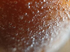 Gli scienziati hanno trovato un nuovo strano modo per lavare frutta e verdura