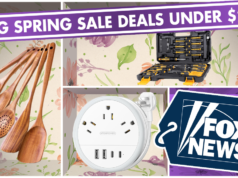 Offerte di grandi saldi primaverili di Amazon: i preferiti dei lettori di Fox Information sotto i $ 25