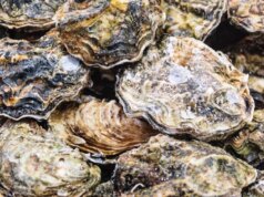 Ostriche e vongole crude richiamate in 9 stati a causa del rischio di norovirus