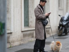 La salute del cane diventa digitale con il nuovo chatbot AI