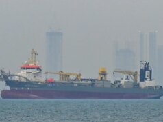 Cosa sapere sull’agenzia che secondo Trump assicurerà le navi nel Golfo