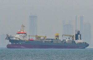 Cosa sapere sull’agenzia che secondo Trump assicurerà le navi nel Golfo