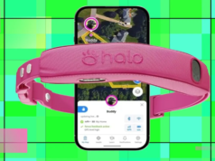 Regala al tuo cucciolo l’intelligente Halo Collar 5 con lo sconto del 25%.