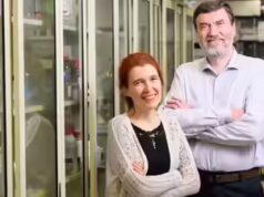 Gli esseri umani potrebbero vivere fino a 200 anni e il segreto potrebbe risiedere nelle balene: studiate