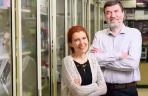 Gli esseri umani potrebbero vivere fino a 200 anni e il segreto potrebbe risiedere nelle balene: studiate