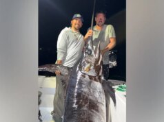Il capitano trascina un gigante marino di quasi 500 libbre dopo un’estenuante battaglia e sfama la maggior parte della città