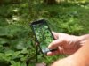 Come gli utenti dell’app iNaturalist si divertono aiutando la scienza