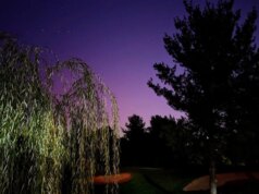 Orologio Aurora Boreale: 15 stati potrebbero intravedere l’aurora boreale questa settimana