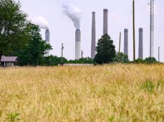 E-newsletter Fox Information AI: una famiglia rifiuta 26 milioni di dollari dal gigante dell’intelligenza artificiale per mantenere i terreni agricoli