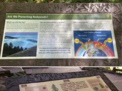 Segni dei tempi: rimuovere le storie del passato americano dai nostri parchi nazionali