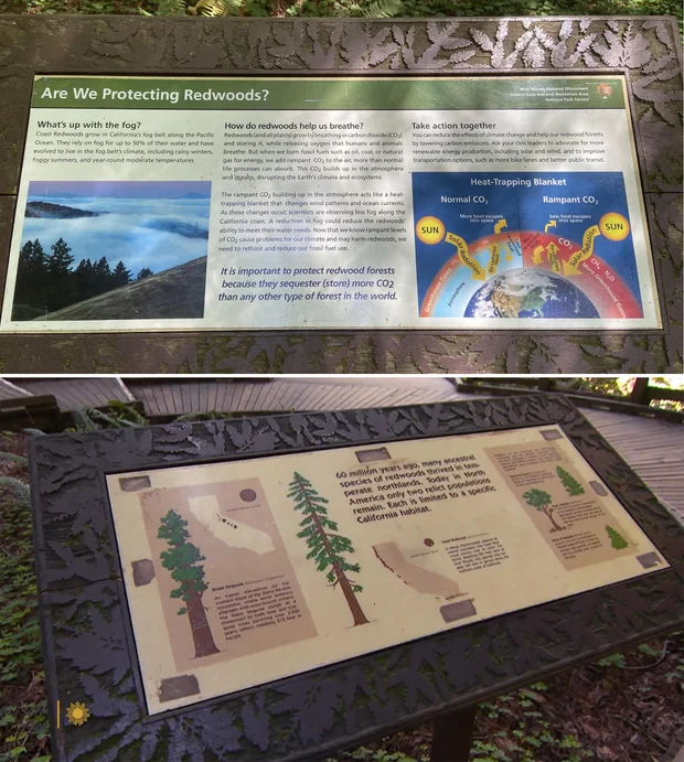 muir-woods-signs-before-and-after.jpg