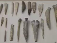 Saudi Information: insediamento di 13.500 anni trovato nel deserto del Nefud, collegamenti commerciali di 190 km sbalordiscono gli archeologi