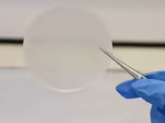 Plastica dal latte? Gli scienziati creano plastica ecologica che si decompone in sole 13 settimane