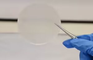 Plastica dal latte? Gli scienziati creano plastica ecologica che si decompone in sole 13 settimane