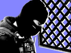 Confessioni dell’agente ICE Whisperer