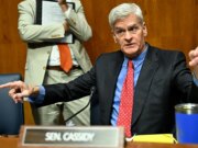 Il Senato repubblicano estende la repressione delle frodi nell’assistenza all’infanzia a più Stati blu