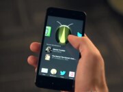 Amazon sta lavorando su un nuovo smartphone con Alexa al centro, cube il rapporto