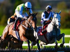 Il dilettante irlandese Queally accusa De Boinville di “abusare” di lui