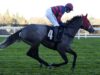 Getawhisky affronta Charisma Cat a Newbury