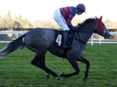 Getawhisky affronta Charisma Cat a Newbury