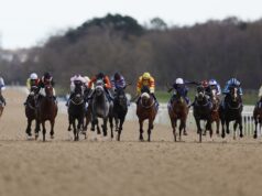 Al Shaham è presente nel Champion Two-Yr-Outdated Trophy