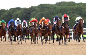 Giovedì si giocheranno Lingfield e Newcastle