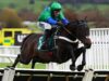 Previous Park Star desiderava dare il through alla Britain Supreme a Cheltenham