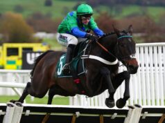 Previous Park Star desiderava dare il through alla Britain Supreme a Cheltenham