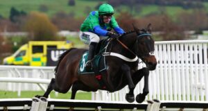 Previous Park Star desiderava dare il through alla Britain Supreme a Cheltenham