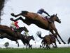 Oggi su Sky Sports activities Racing: Planters Punch ritorna a Bangor