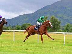 I cavalli piatti di Jamie Lynch seguiranno per il 2026