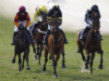 Oggi su Sky Sports activities Racing: Sedgefield e Newcastle in primo piano