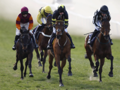 Oggi su Sky Sports activities Racing: Sedgefield e Newcastle in primo piano