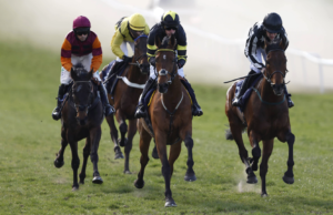 Oggi su Sky Sports activities Racing: Sedgefield e Newcastle in primo piano