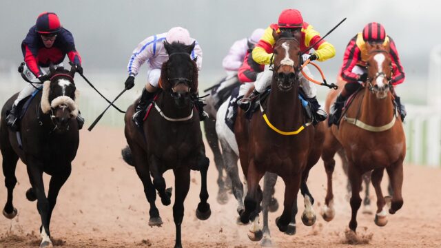 skysports-southwell-racecourse_7202067.jpg