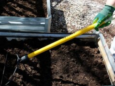 5 gadget che comprerò questa primavera per far crescere il mio pollice verde (e sono in saldo)