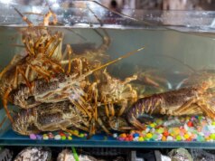 Secondo quanto riferito, i dipendenti tecnologici vengono valutati in base alla velocità con cui bruciano i token LLM