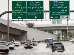 Spiegazione dell’assicurazione auto negli Emirati Arabi Uniti: qual è la migliore? Copre i danni provocati dalle inondazioni?